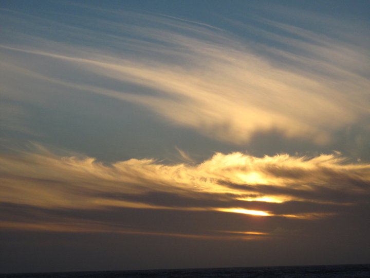 196436_776618977291_11006454_42191875_1563199_n